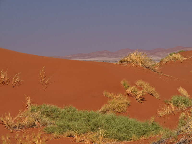 Sossusvlei